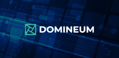 Domineum logo on a blockchain background