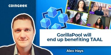 Alex Hays talking about GorillaPool at Women of BSV.