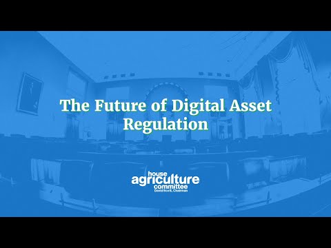 ‘Rules of the road’ for digital asset industry must be established, US House subcommittee says