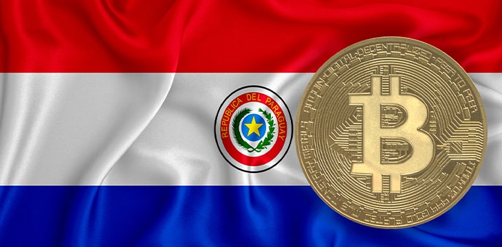lag, bitcoin gold coin on flag background