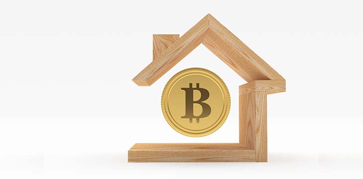Bitcoin in wooden house icon isolated on white background.
