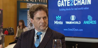 coingeek-tv-bitcoin-creator-craig-wright-likens-blockchains-that-cant-scale-to-digital-beanie-babies