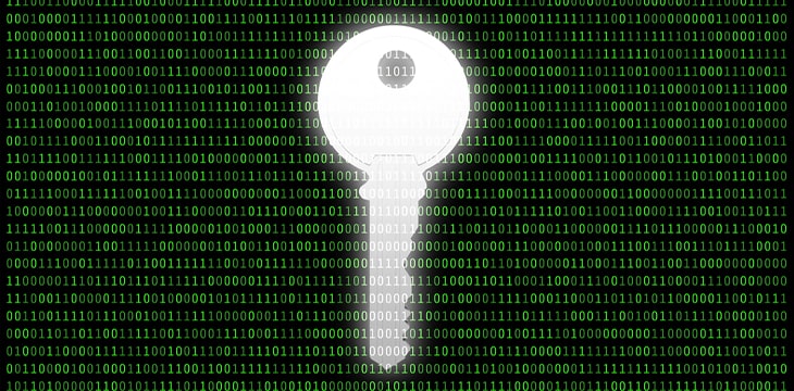 key in front of encrypted binary background