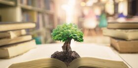 Big tree with soil on opening old book
