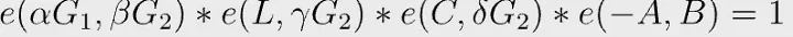 One single final exponentiation equation