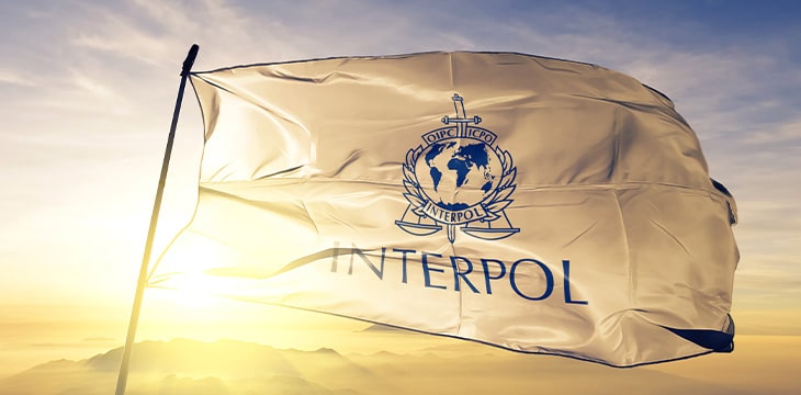 International Criminal Police Organization Flag