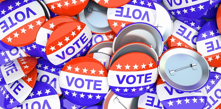 US vote pins