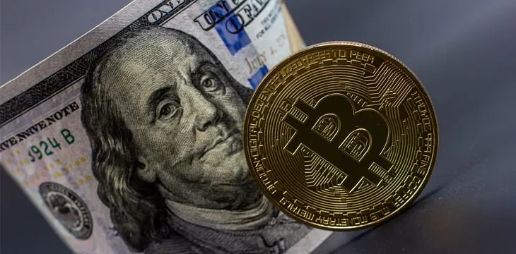 How many digital currency investors lost their money?