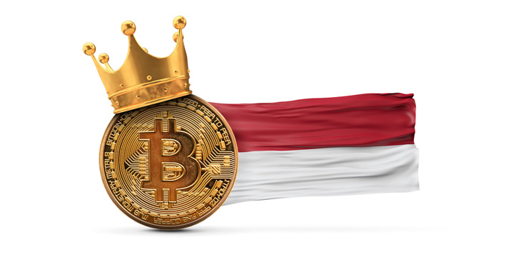 Bitcoin with a crown and Indonesia Flag