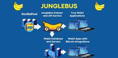 How JungleBus indexes Bitcoin’s ‘Internet of Value’: Workshop