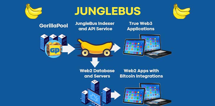 Junglebus image flow