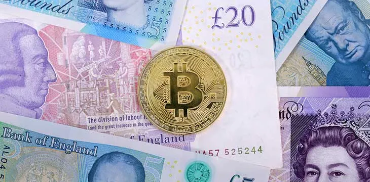 Digital pound likely this decade, but don’t call it ‘Britcoin’