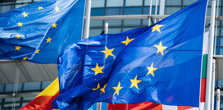 Flags of all member states of the European Union Parliament close up