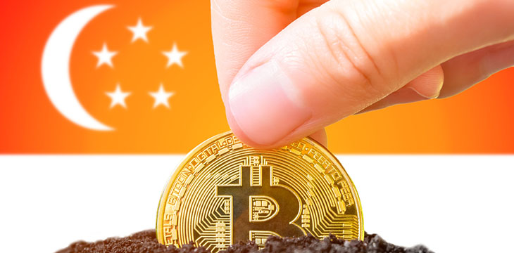 Planting a Bitcoin in the ground against the background of the flag of Singapore