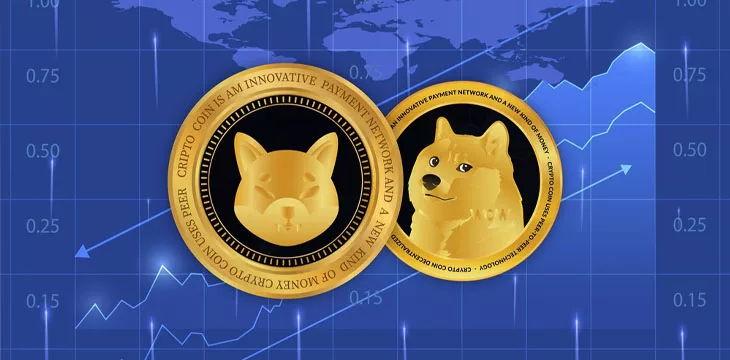 Shiba inu and dogecoin virtual currency visuals