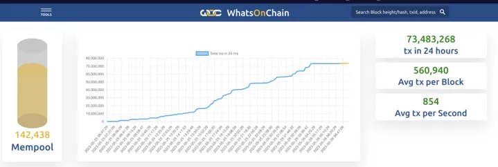 WhatsOnChain showing transactions in 24 hours