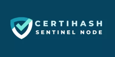 What is the Sentinel Node?