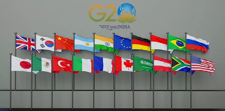 G20 India flags members