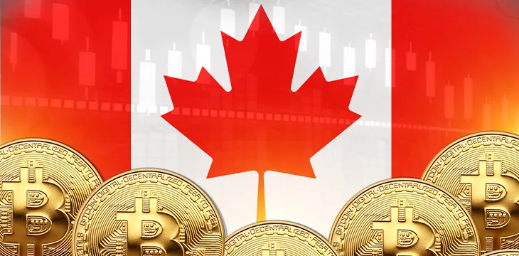 Lot of Bitcoins in front and Canada flag in wall