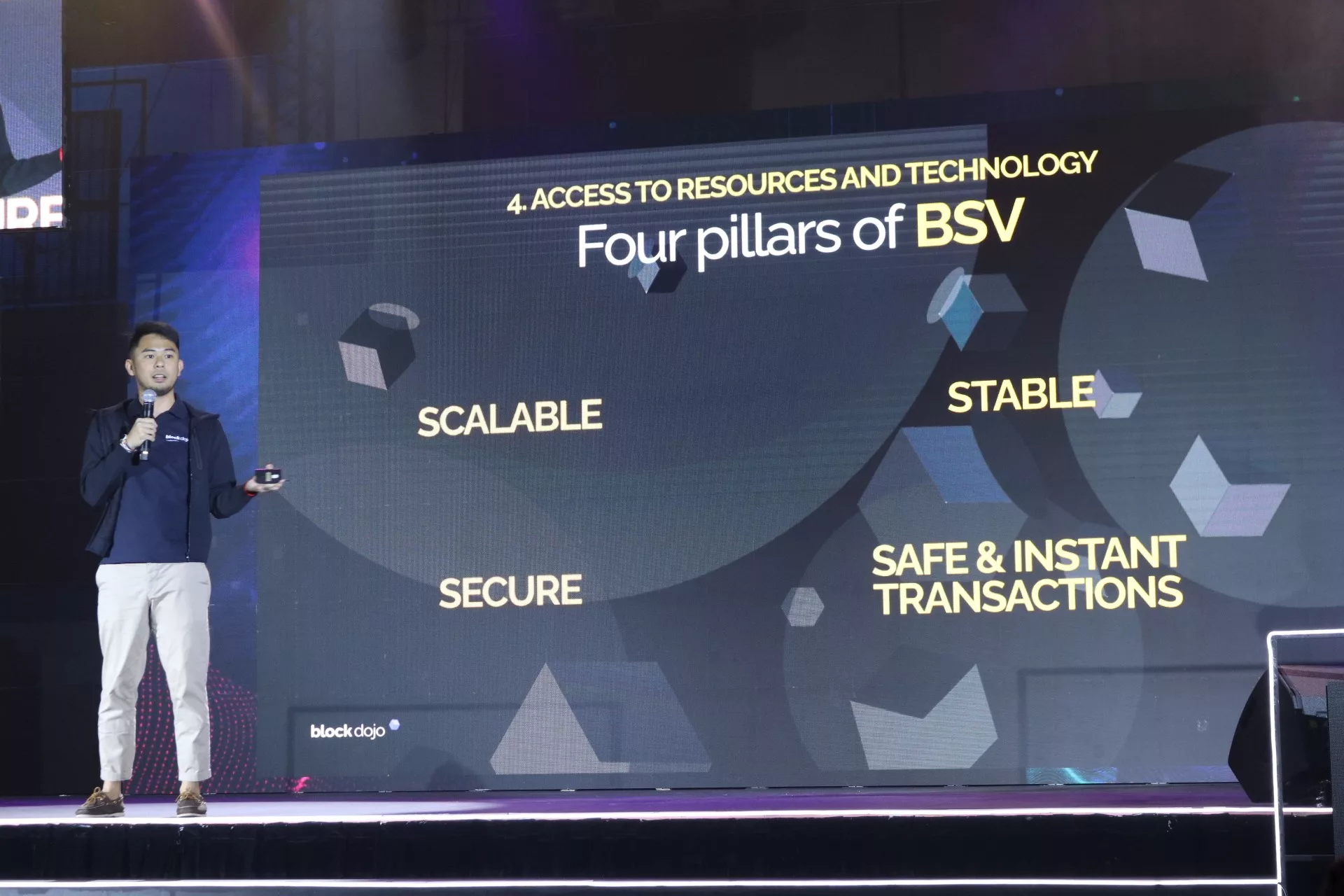 4 pillars of BSV presentation