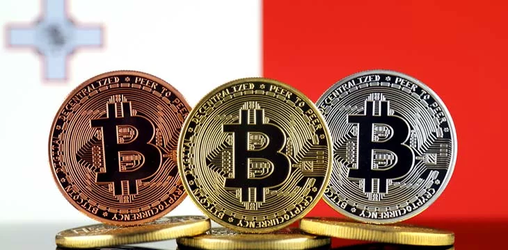 bitcoins in front of malta flag
