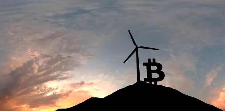 Bitcoin cryptocurrency logo silhouette
