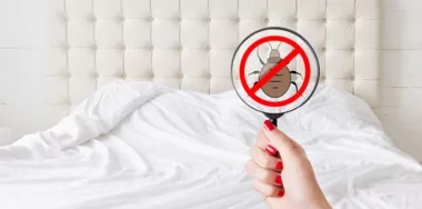 Cleaness and purity concept, hand holding lens with stop insects sign detects bed bugs