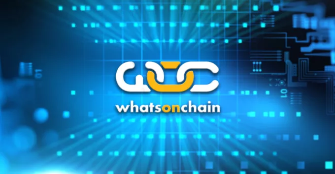 WhatsOnChain logo