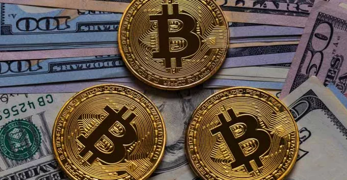 Golden Bitcoin coins and US dollars on wooden table