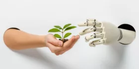 Cropped image of woman and robot holding a plant