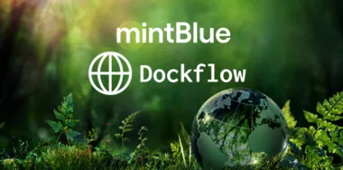 mintBlue and DockFlow logo with environmental background