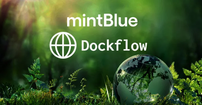 mintBlue and DockFlow logo with environmental background