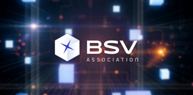 BSV Association logo