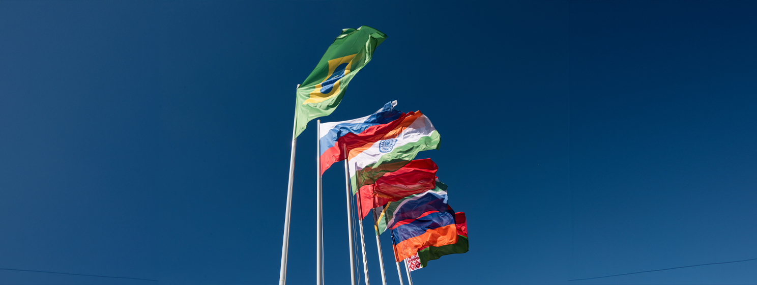 Flags of the BRICS countries