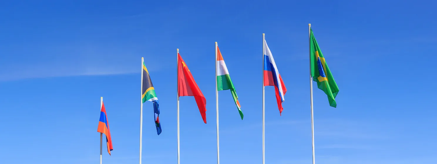 BRICS members call for independent payment methods