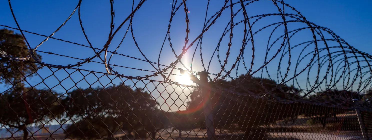 barbed wire fence