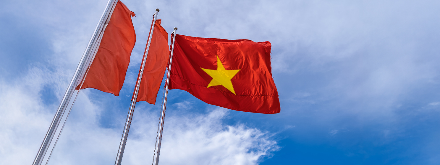 Vietnam flag