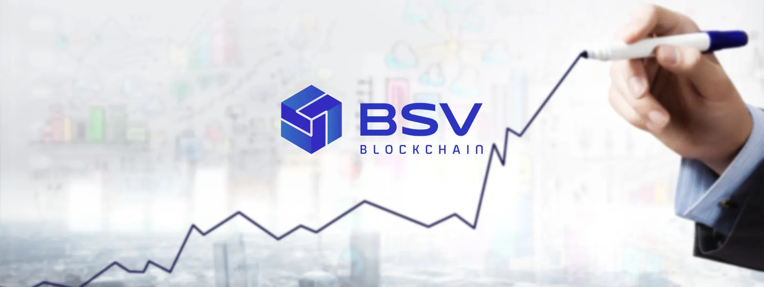 BSV highlights 2024—A year of growth