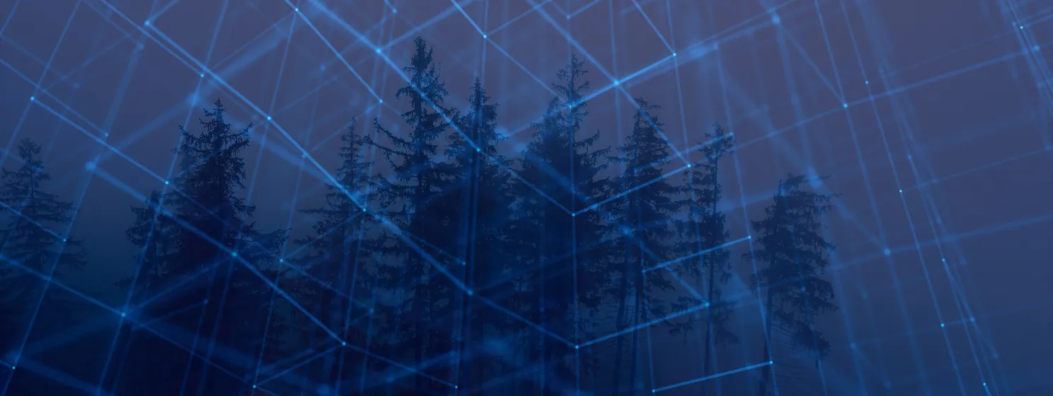 silhouettes of trees in the forest in the morning fog with Blockchain overlay