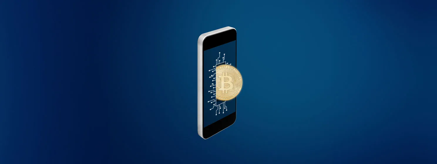 Text BSV - Digital payments