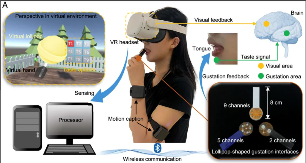 VR device - Metaverse