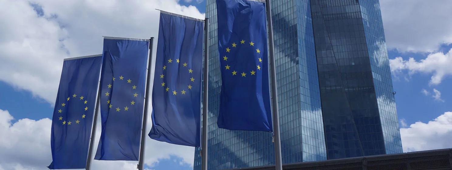 Europe flags