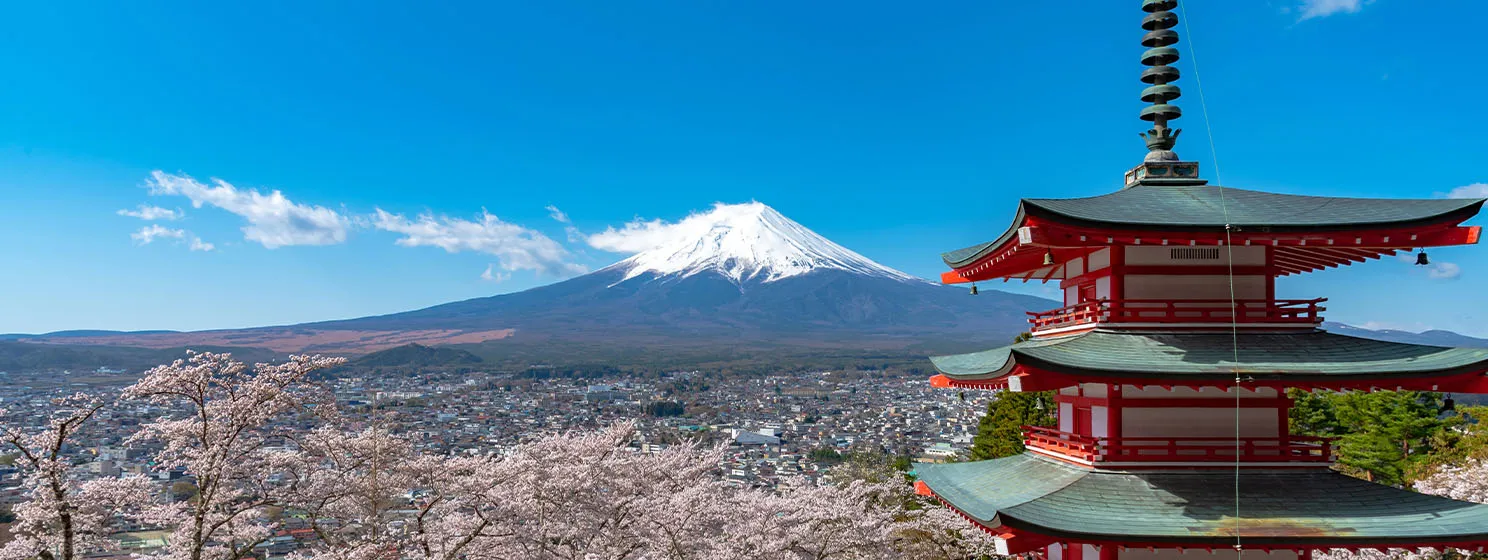 Mount Fuji viewed from behind Chureito Pagoda in full bloom cherry blossoms