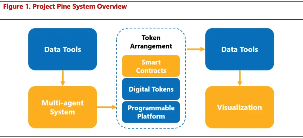 BIS - Project Pine System Overview framework