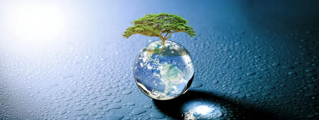 Zimbabwe rolls out blockchain-based carbon credit market system