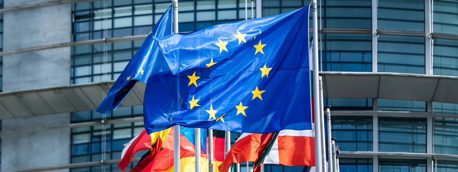 Flags of all member states of the European Union Parliament