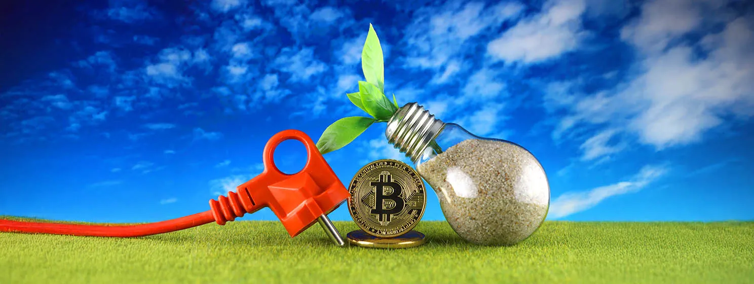 Bitcoin coin with a red power cord and a light bulb with soil and a plant growing in it.