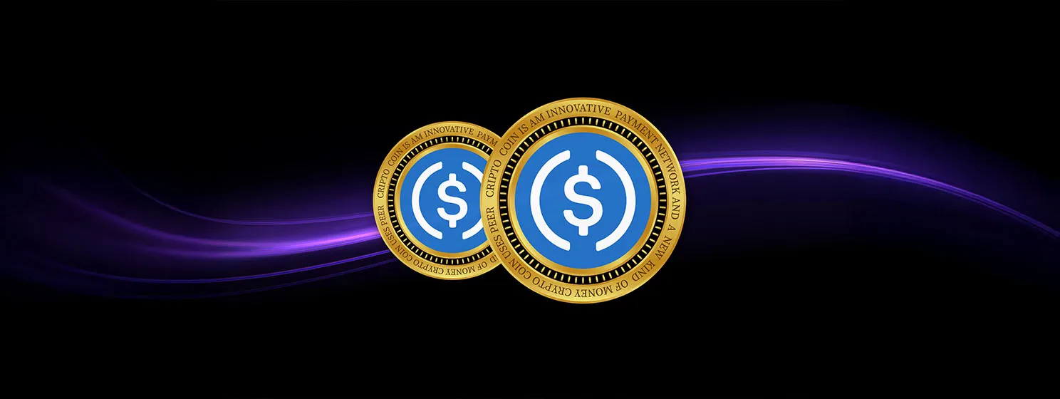USDC virtual currency images. 3d illustration.