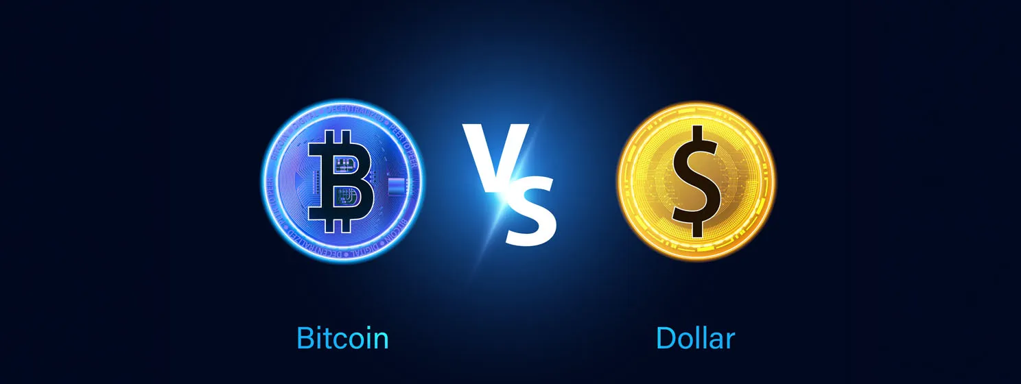 Bitcoin and Dollar Concept Asset Investment Decisions