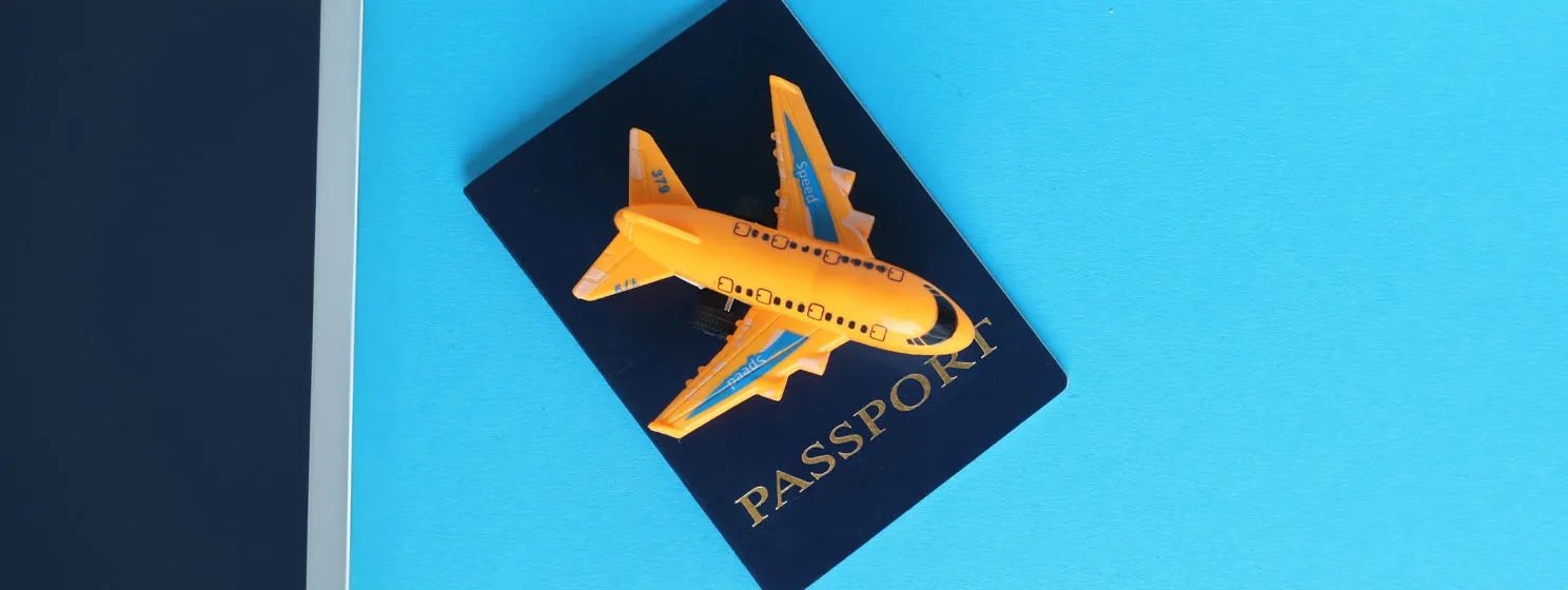 e-passports, digital IDs concept